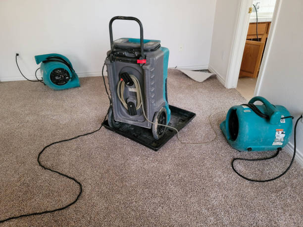 Best Water damage restoration near me  in Creighton, NE