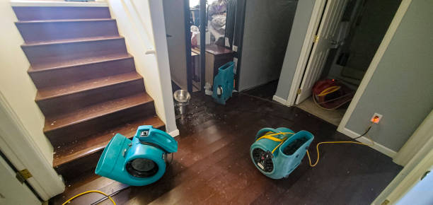 Best Flooded house restoration  in Creighton, NE