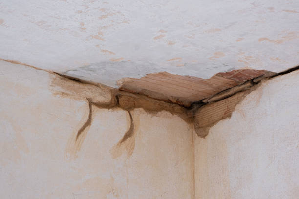 Best Local water damage restoration  in Creighton, NE