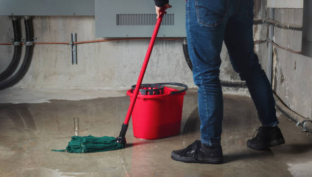 Best 24/7 water damage repair  in Creighton, NE