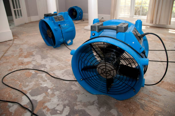 Best Carpet water damage restoration  in Creighton, NE