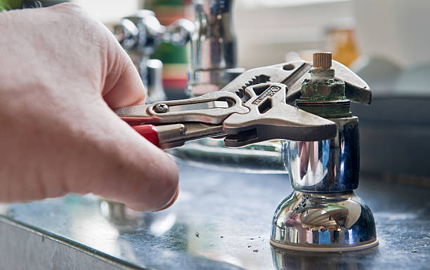 Best Mold removal after water damage  in Creighton, NE