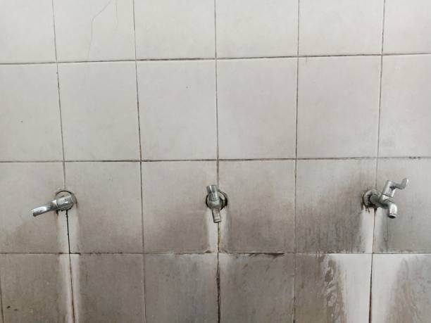Sewage cleanup and water damage restoration in Creighton, NE