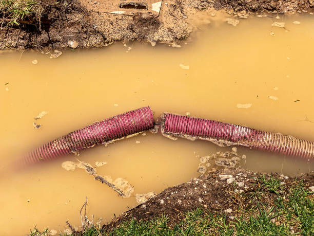  Creighton, NE Water damage restoration Pros